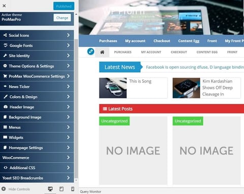 Promax pro theme option