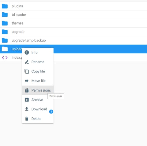 Change permission in managed hosting 1