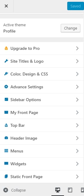 profile theme customizer