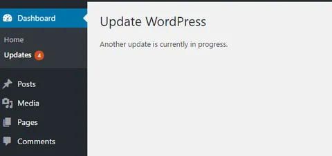Wordpress update process