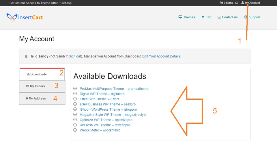 Step 4 download theme